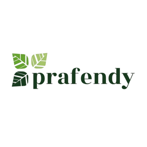 Prafendy