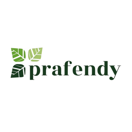 Prafendy