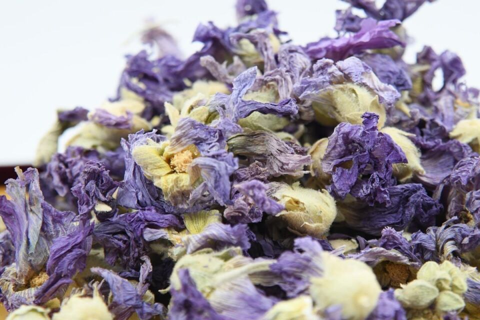 BUHARA HATMİ ÇİÇEĞİ 1000 GR